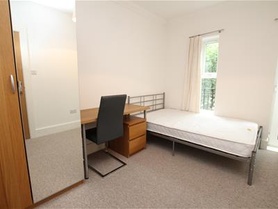 Picture 15